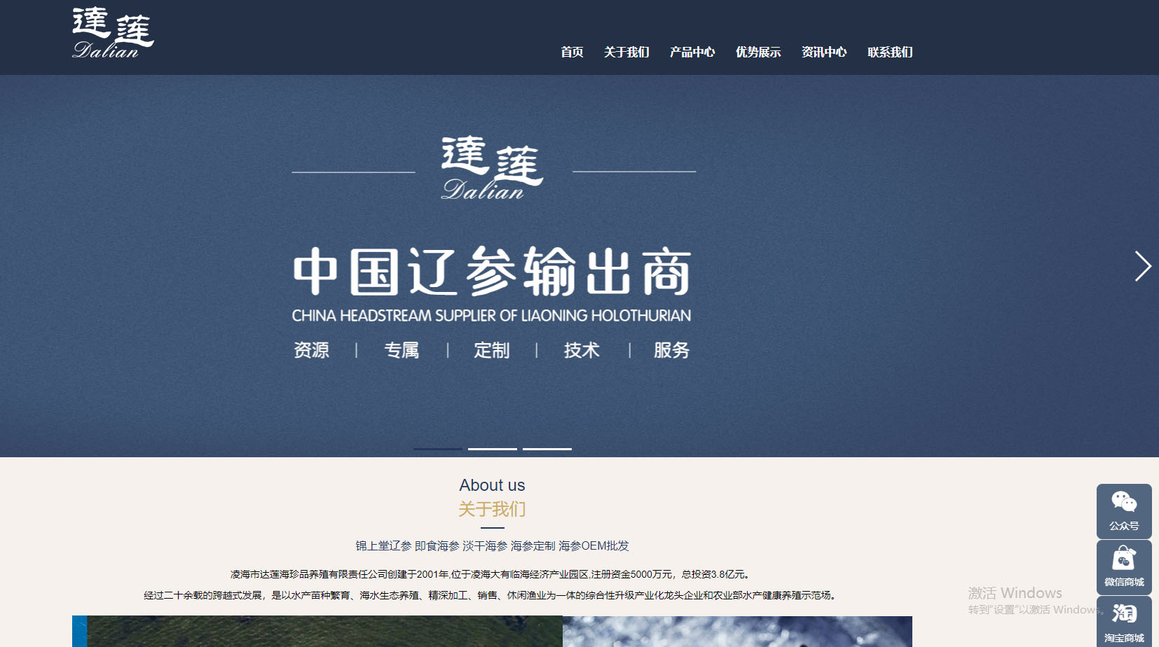 企業(yè)品牌網站